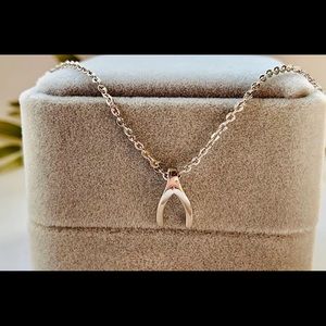 Sterling Silver Wishbone Necklace